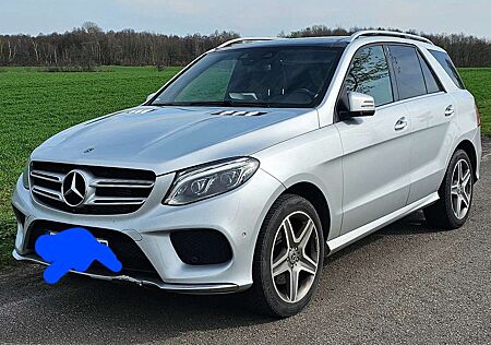 Mercedes-Benz GLE 250 GLE+Diesel+d+4Matic+9G-TRONIC+AMG+Line