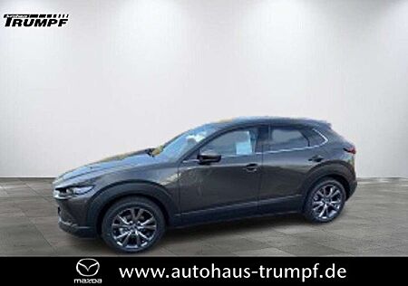 Mazda CX-30 186PS AWD 6AG SELECTION DESIGN-u.PREMIUM-Paket