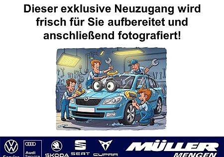 Skoda Karoq Clever 1,5 TSI DSG STANDHZ/AHK/LED/NAVI