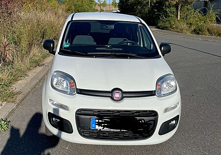 Fiat Panda 1.2 More 1 Halter, unfallfrei Zahnriemen neu