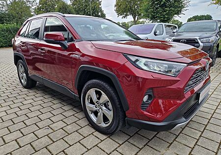 Toyota RAV 4 Hybrid 4x4 Team Deutschland