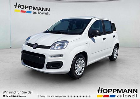 Fiat Panda Pandina Icon*PDC*Klima*Digitales Cockpit