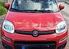 Fiat Panda Diesel 1.3 Multijet Start