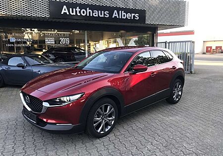 Mazda CX-30 SKYACTIV-X M Hybrid SELECTION, AUTOMATIK, BOSE, 36