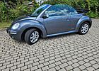 VW Beetle Volkswagen united