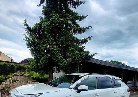 Toyota RAV 4 RAV4 Hybrid 2.5 4x4 Hybrid Club CVT+Technik Paket