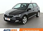 Skoda Fabia 1.0 TSI Clever*NAVI*PDC*ACC*SHZ*ALU*KLIMA*