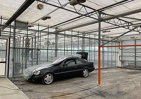 Mercedes-Benz CL 500