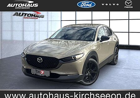 Mazda CX-30 2.5 e-SKYACTIV-G Nagisa 2WD Automatik Navi