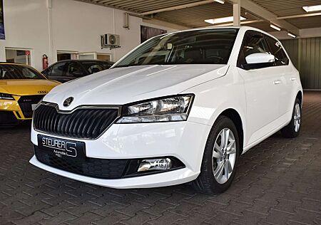 Skoda Fabia 1.0 TSI Ambition Climatronic Kamera APP
