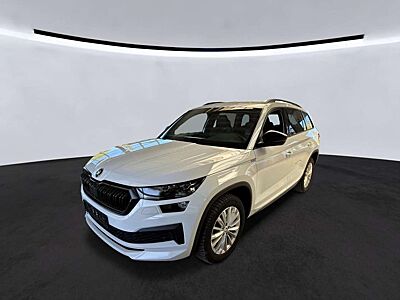 Skoda Kodiaq 2.0 TDI 4x4 DSG Matrix ACC Kamera AHK