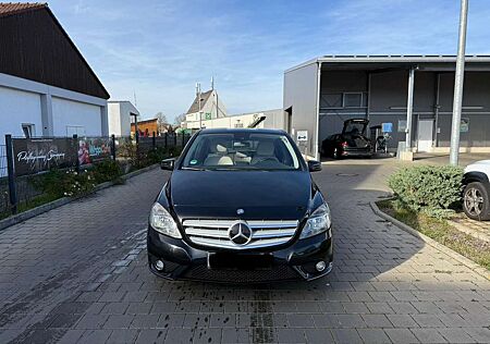 Mercedes-Benz B 250 4MATIC Standheiz Kamera