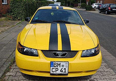 Ford Mustang EZ 2004, einer der letzten Baureihe 2003