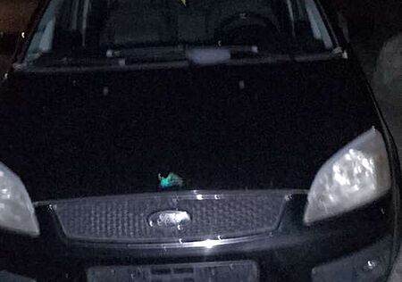 Ford C-Max 1.8 Titanium