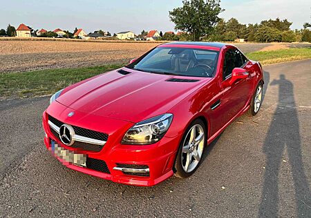 Mercedes-Benz SLK 250 CDI (172403)