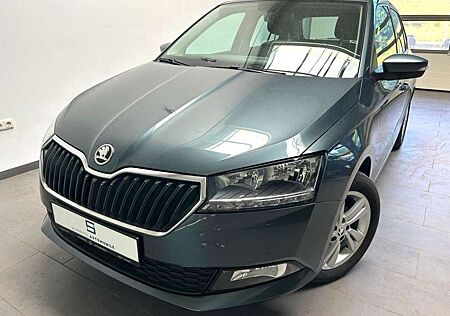 Skoda Fabia Ambition Kamera Sitzheizung app connect