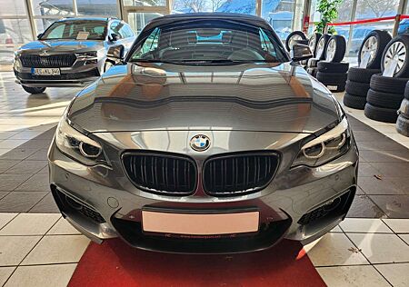 BMW 230 i Cabrio M Sport Leder Navi Hifi PDC Shadow