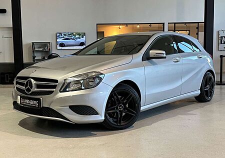 Mercedes-Benz A 180 BlueEfficiency *Navi,Kamera,Sitzh.*