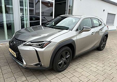 Lexus IS 200 UX 200 Automatik Launch Edition