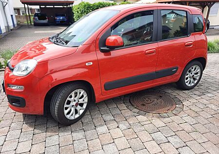 Fiat Panda Serie 2 1.2 Lounge