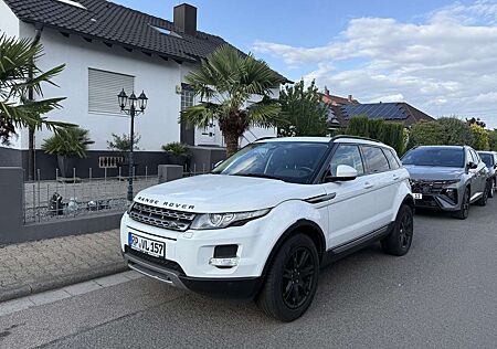 Land Rover Range Rover Evoque SD4 | Navi | Xenon | Leder
