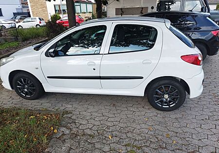 Peugeot 206 + 60