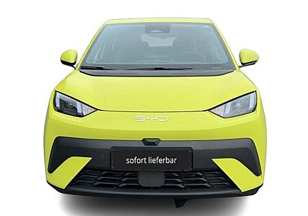 BYD DOLPHIN Surf Boost Alarm Alu DAB Keyless Klima Nav Kamera