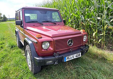 Mercedes-Benz G 300 G+300+D+(GD)