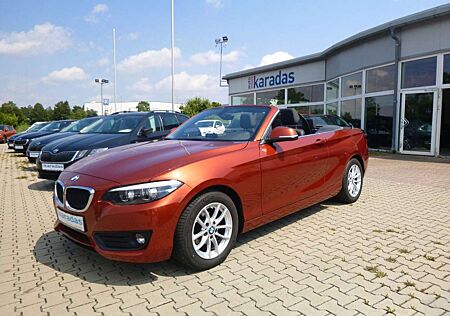 BMW 218 i Cabrio NAV/AHK/Teil-Leder/LED/SHZ/PDC