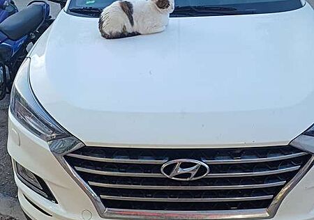 Hyundai Tucson blue 1.6 CRDi 4WD DCT Trend