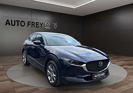 Mazda CX-30 Automatik Selection Design Paket KAMERA HEAD-UP LE