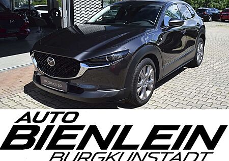 Mazda CX-30 2.0 150PS Selection A18 Design-P Standheizung AHK
