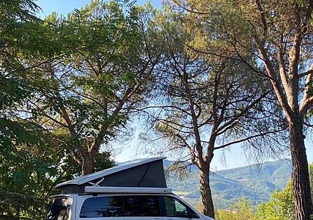 Mercedes-Benz Marco Polo 220/250 d EDITION 4MATIC (447.813)