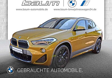 BMW X2 sDrive20i Head-Up HK HiFi DAB LED WLAN RFK