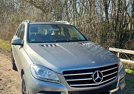 Mercedes-Benz ML 350 4MATIC (BlueEFFICIENCY) 7G-TRONIC