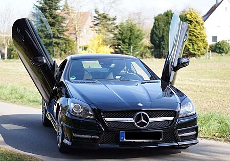 Mercedes-Benz SLK 200 BlueEfficiency (172.448)