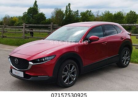 Mazda CX-30 2.0 SKY-X M-Hyb LED Navi ACC RFK HuD Selec