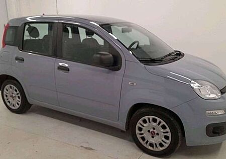 Fiat Panda III 20211.0 firefly hybrid City Life s