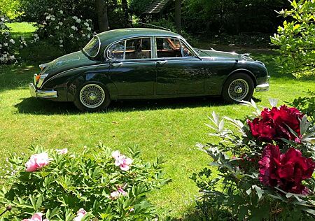 Jaguar MK II 2.4 Overdrive RL Schalter