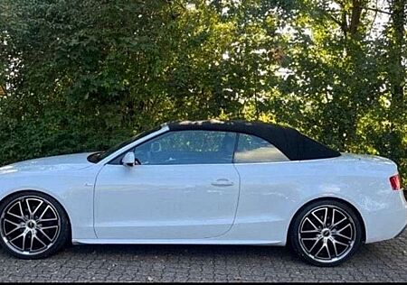 Audi A5 Cabrio 3.0 TDI DPF multitronic