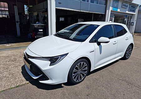 Toyota Corolla Hybrid Club, Technik P.,Allwetter