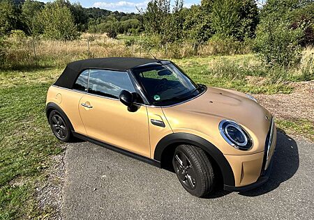 Mini Cooper Cabrio Aut. Classic Trim