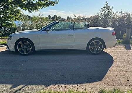 Audi A5 Cabrio 3.0 TDI DPF quattro S troni
