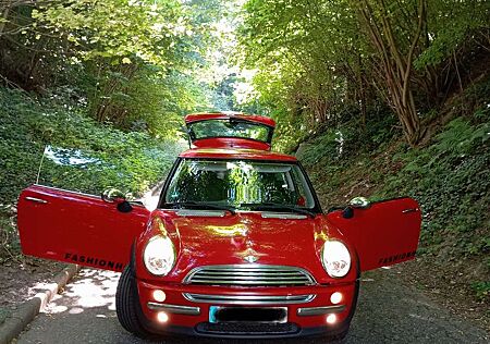 Mini ONE