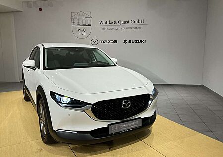 Mazda CX-30 *BOSE*Matrix-LED*360°*Head-Up*