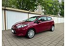 Ford Fiesta Trend