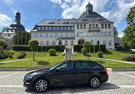 Skoda Octavia 2.0 TDI Combi Soleil SR Alu + WR Stahl + Business