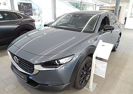 Mazda CX-30 2.5L e-SKYACTIV G 140ps 6AT FWD Homura