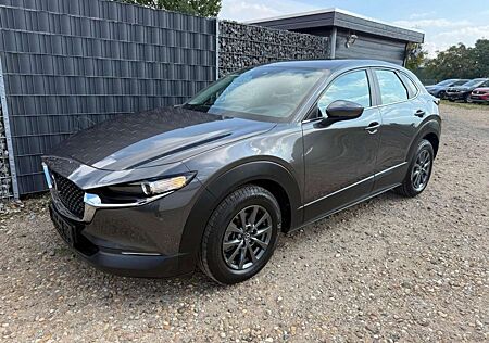 Mazda CX-30 2.0 48V ACC 360 Totwinkel Keyless SHZ