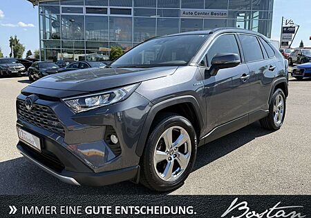 Toyota RAV 4 HYBRID TEAM DEUTSCHLAND/TECHNIK-PAKET/DAB